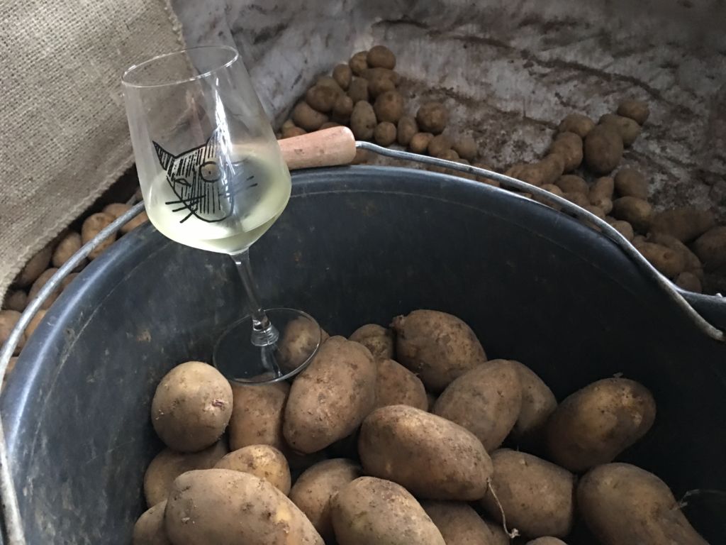 Kulinarische Wanderung im Grenzgebiet