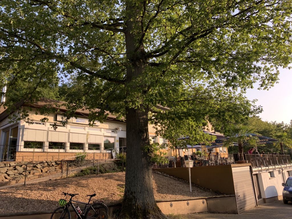 Steak und Kinderautobahn